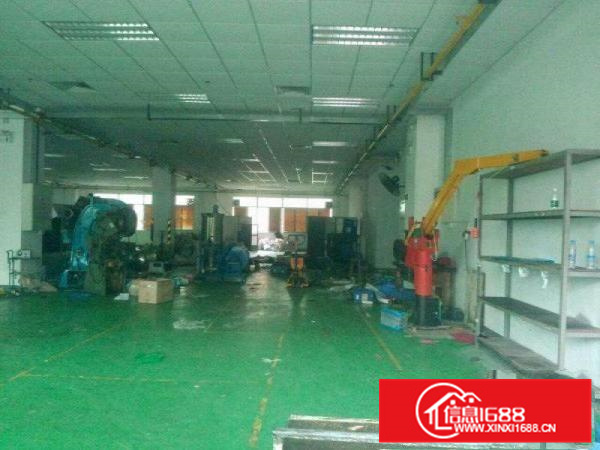 陈江带装修小厂房出租200到800平米