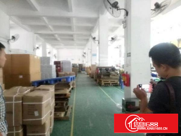 西乡带阁楼办公室一楼厂房1300平米出租