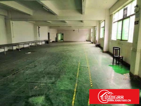 出租宝安石岩塘头豪华装修厂房600平方