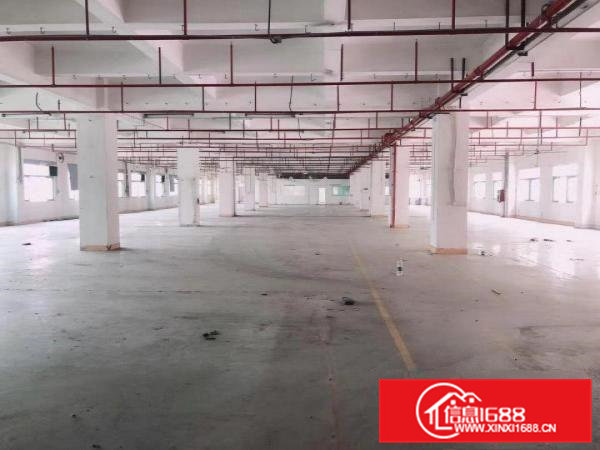 东莞常平袁山贝，新出独院厂房分租，水电齐全