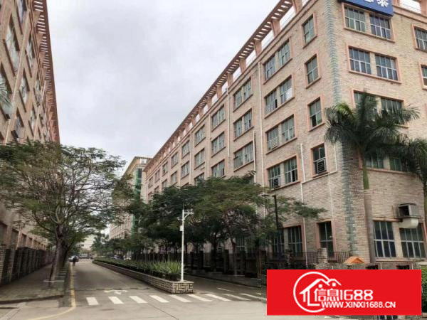 坑梓新出2750平米一二楼有红本厂房出租