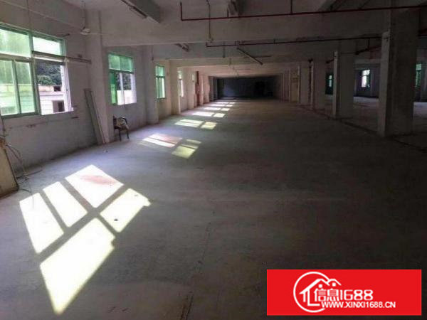 横岗2000平独门独院厂房可分租