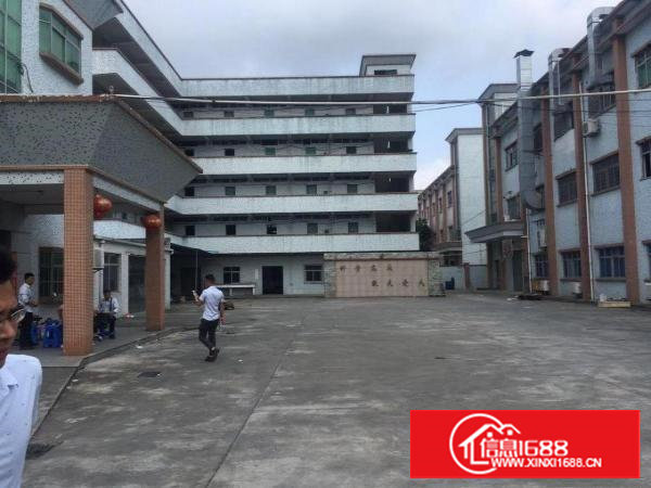 ~塘厦沙湖8900平方独院厂房【实拍图，做电池】挨观澜~