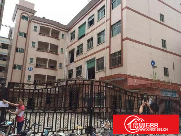 龙岗宝龙科技园独门独院3000平米带装修.形象好