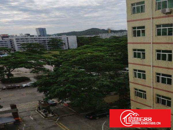 龙岗分租厂房6-800平米