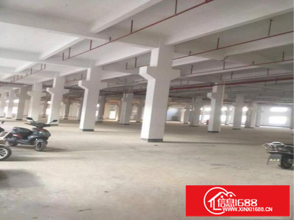 惠阳新圩高速路口附近新出独栋钢构厂房3600平方