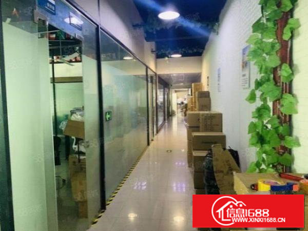 观澜樟坑径新出楼上900平厂房，精装修，无转让费