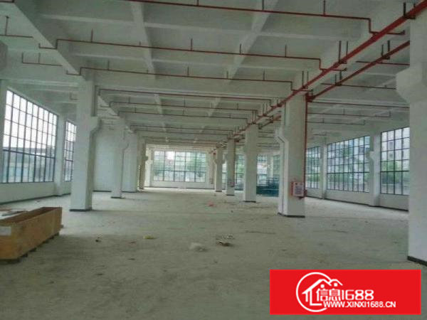 东坑新出6200平方独门独院厂房出租