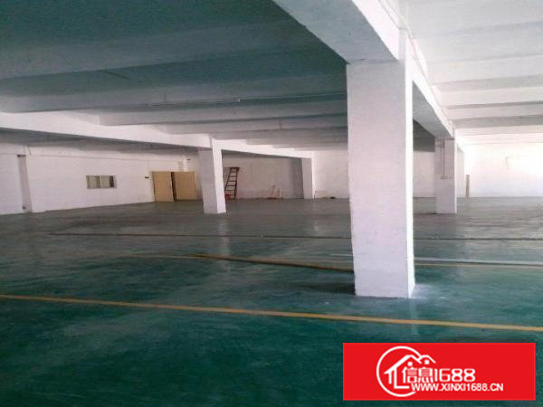 常平大道旁独栋标准厂房3000平米