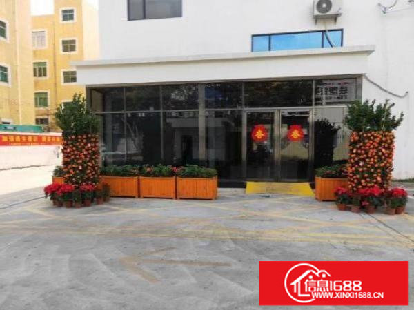 龙华大浪厂房华荣路旁原房东厂房120平，26元一平2 1格局