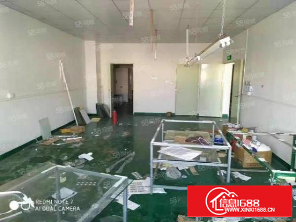 出租长安上沙新出楼上1200平豪华装修厂房红本厂房