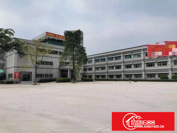 大岭山新出标准独院厂房6000平厂房出租带超大空地