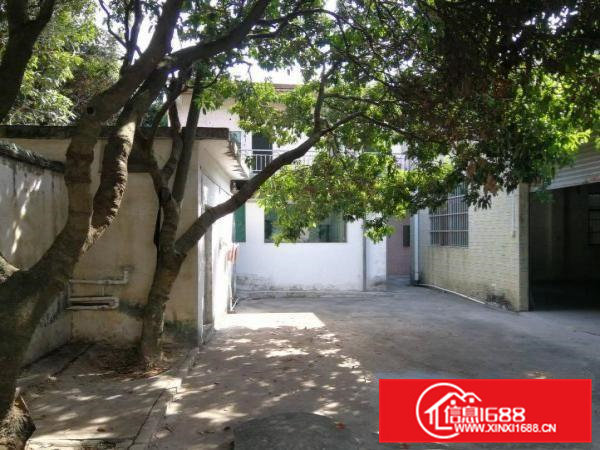 独院厂房800平方，宿舍办公室500平方，空地600平方