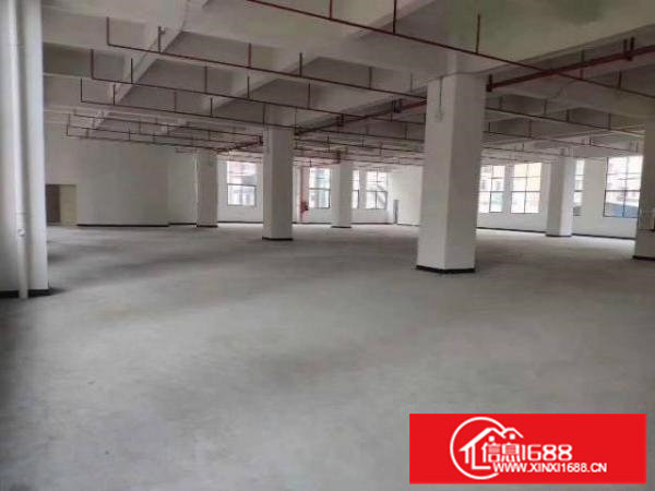精装修楼上600平方办公厂房出