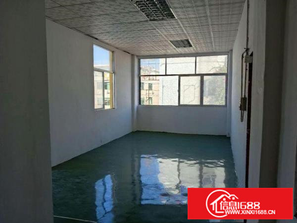 虎门树田新出2楼带装修700平方厂房出租