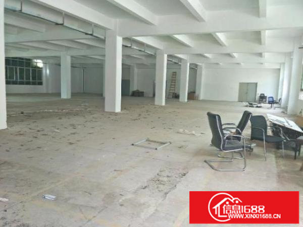 坪山坑梓新出1楼仓库高5.5米空价格美丽