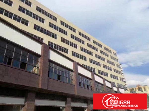 龙岗区平湖新出标准厂房一楼720平方现成办公交通便利出租