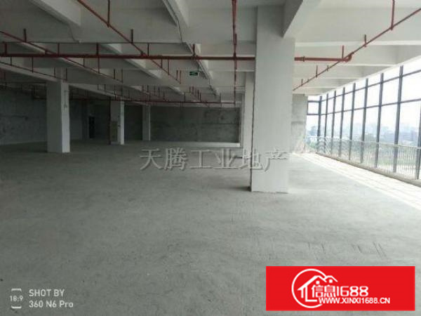 龙江陈涌工业区11900方，全新商品式厂房，形象好