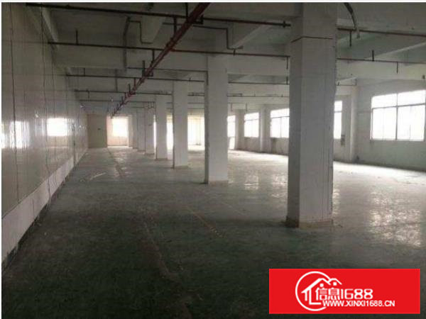 常平天鹅湖标准独院厂房2800平方出租