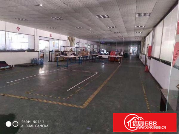 虎门赤岗一楼1450平米厂房出租现成环评！价格实惠