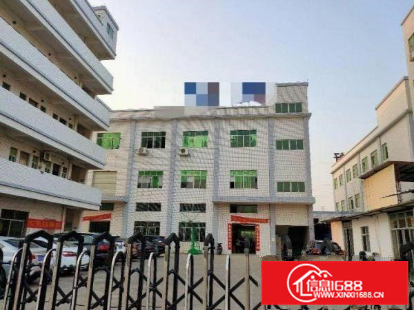 六甲新空出原房东厂房3楼1300平方带精装修出租