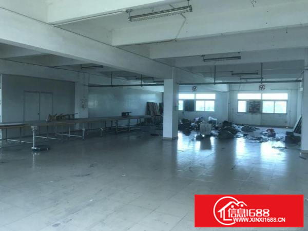 博罗园洲厂房出租独立整栋标准厂房可分租国有地包办环评