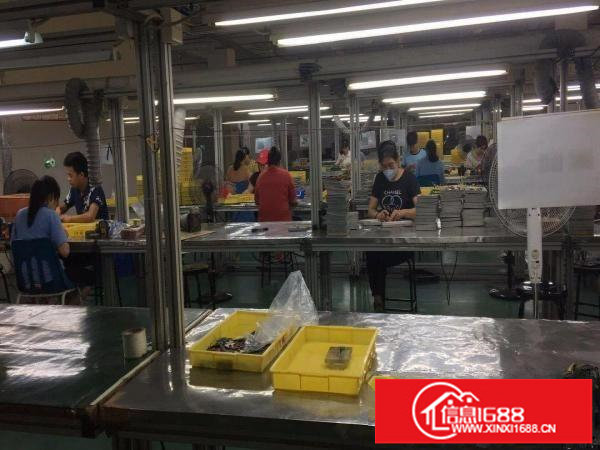 出租龙岗区龙岗新生低山厂房分租消防安检全过