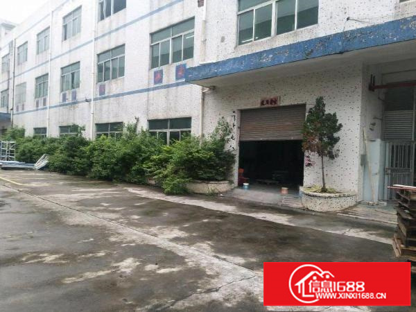 坑梓金康路59号一楼厂房800平米