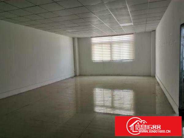 龙岗区南联办公楼厂房大小面积出租招租