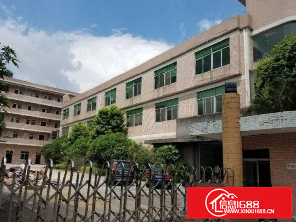 田心分租一楼800平方原房东，可办环评