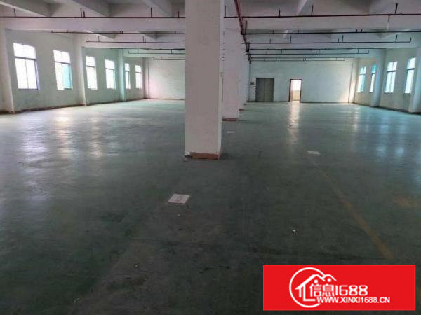 出租龙岗区龙东精品独院厂房1450平方一楼5米高水电齐全