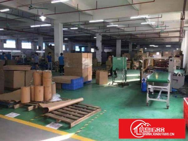 张坑标准一栋五层2000平方带现成办公装修出租