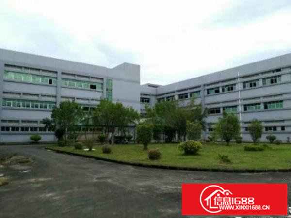 龙岗新生广场附近楼上600平米带装修分租