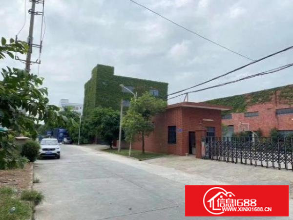 寮步厂房，单一层独院，可以分租，做成两个独院