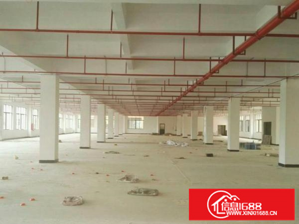 惠州惠阳区镇隆48000平米独院厂房出租可分租