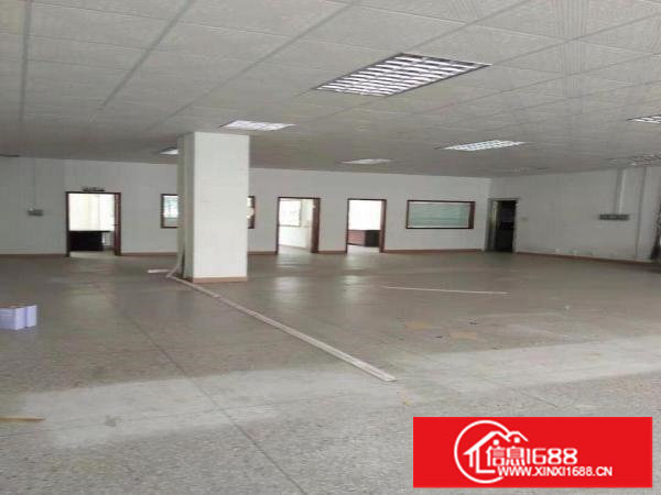 横岗228工业区原房东红本独门独院厂房4800平实际面积出租