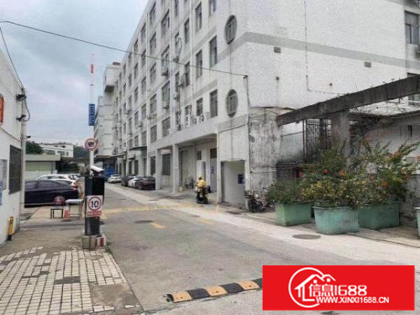 横岗六约红本厂房大小分租