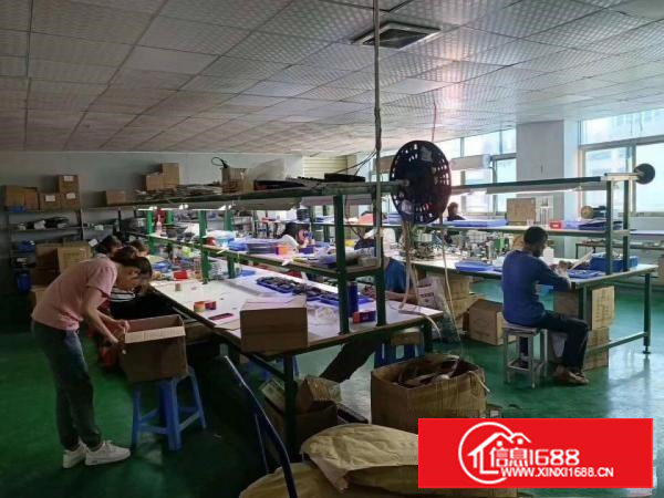 沙头新出豪华装修楼上