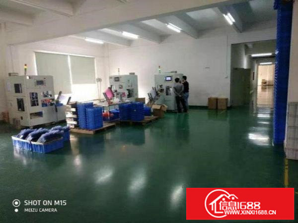 石井工业园新出楼上精装修厂房580平出租