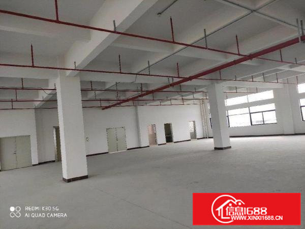 全新标准厂房招租啦！