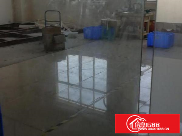 松岗碧头厂房分租，形象好、停车位充足，办公敞亮