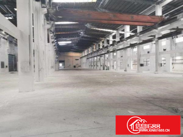 横沥工业区一楼钢构2000方，大小可分，滴水13米，砖墙到顶