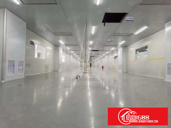 形象公司靓房，万级无尘车间1万3平，带豪华办公室装修！