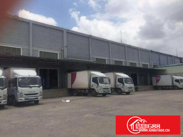 茶山新出标准物流仓库23000平方形象漂亮