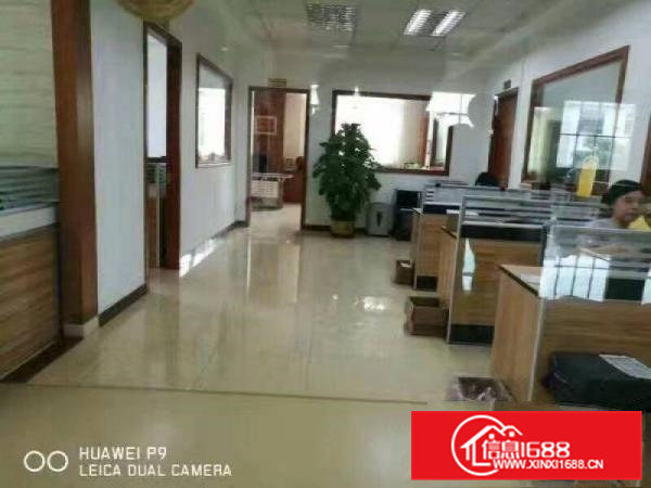 石排镇独院单一层厂房(两万平方)出租可整租分租