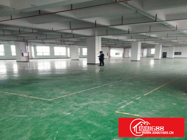 龙岗、横岗，简龙工业区，标准一楼厂房1500平方招租