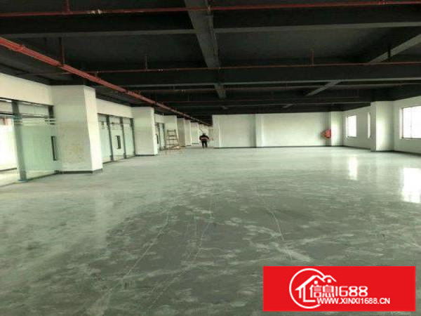 布吉木棉湾百鸽笼仓库200平500平5000平大小分租