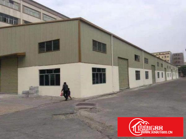 桥头镇新出原房东钢结构厂房1000平方滴水8米，空地超大