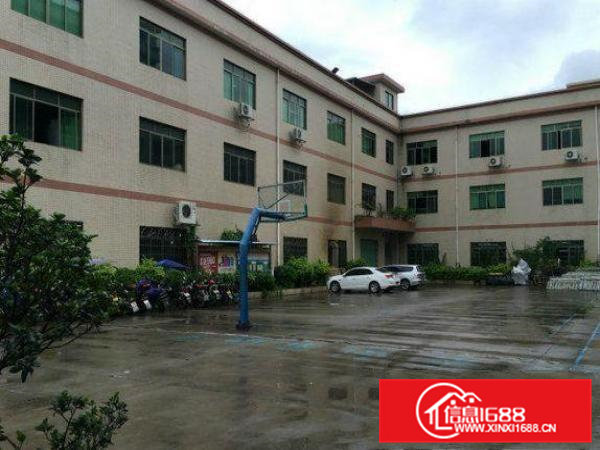 常平岗梓一楼标准厂房1880平方