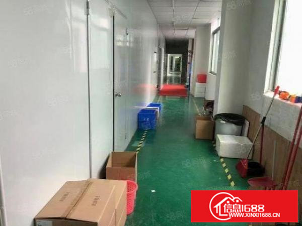 凤岗临深五联新出楼上1000平厂房无尘车间出租！